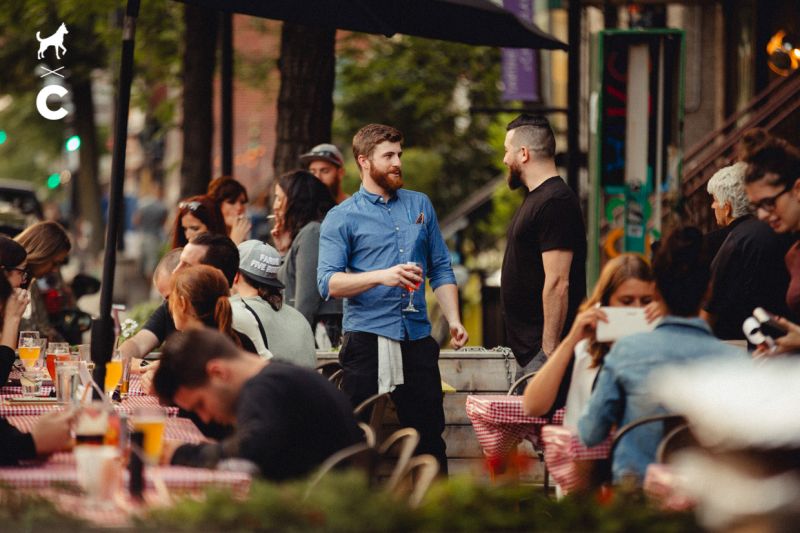 montreal-le-plateau-mont-royal