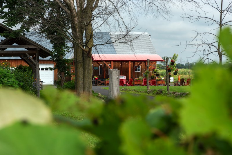 saint-bruno-de-montarville