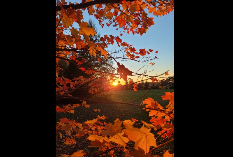 saint-simon-de-bagot