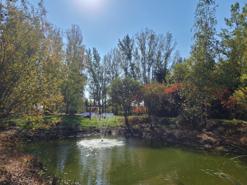 saint-simon-de-bagot