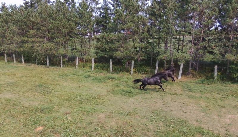 saint-simon-de-bagot