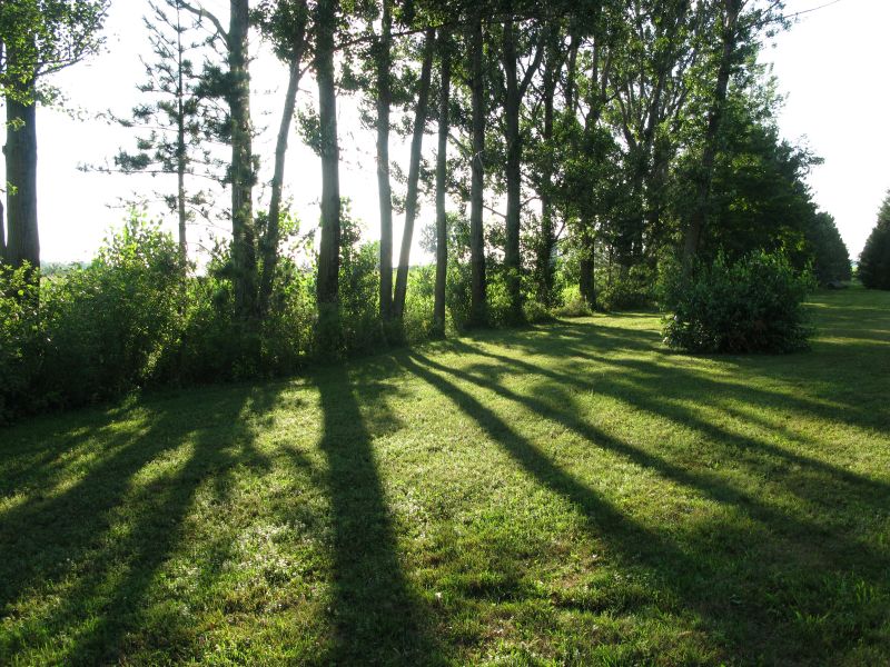 saint-simon-de-bagot