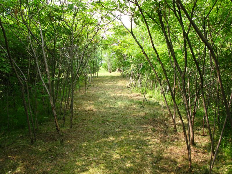 saint-simon-de-bagot