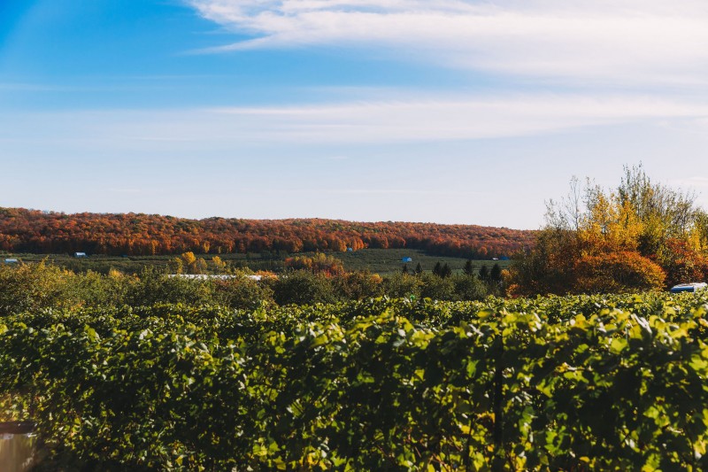 saint-joseph-du-lac