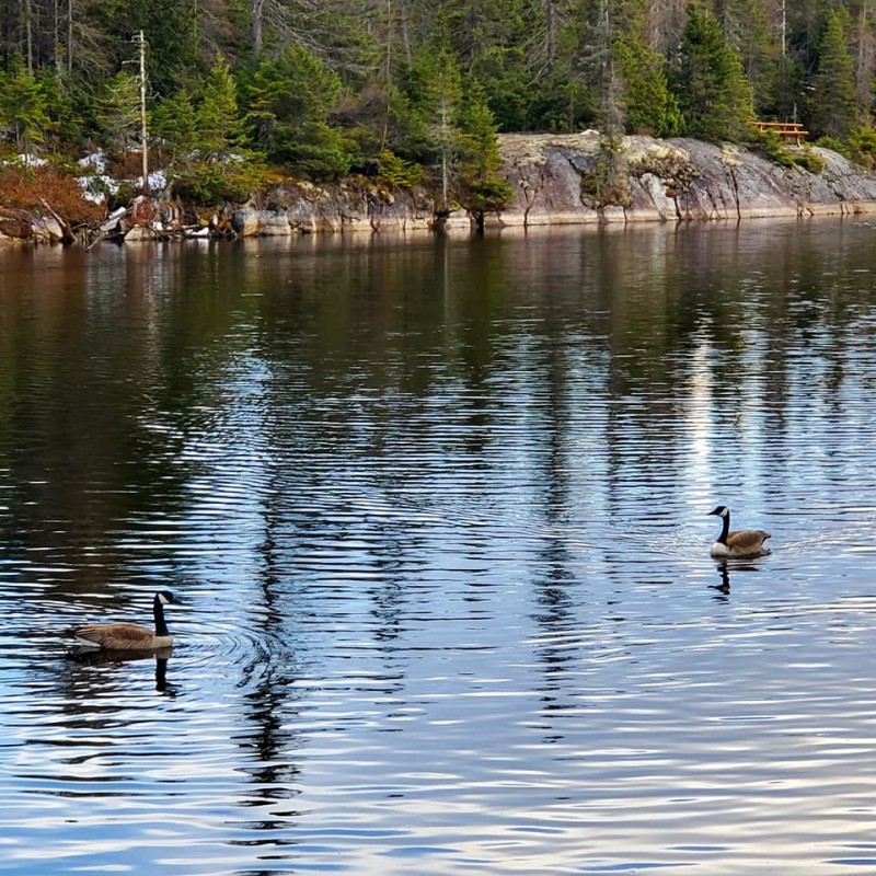sainte-marguerite-du-lac-masson