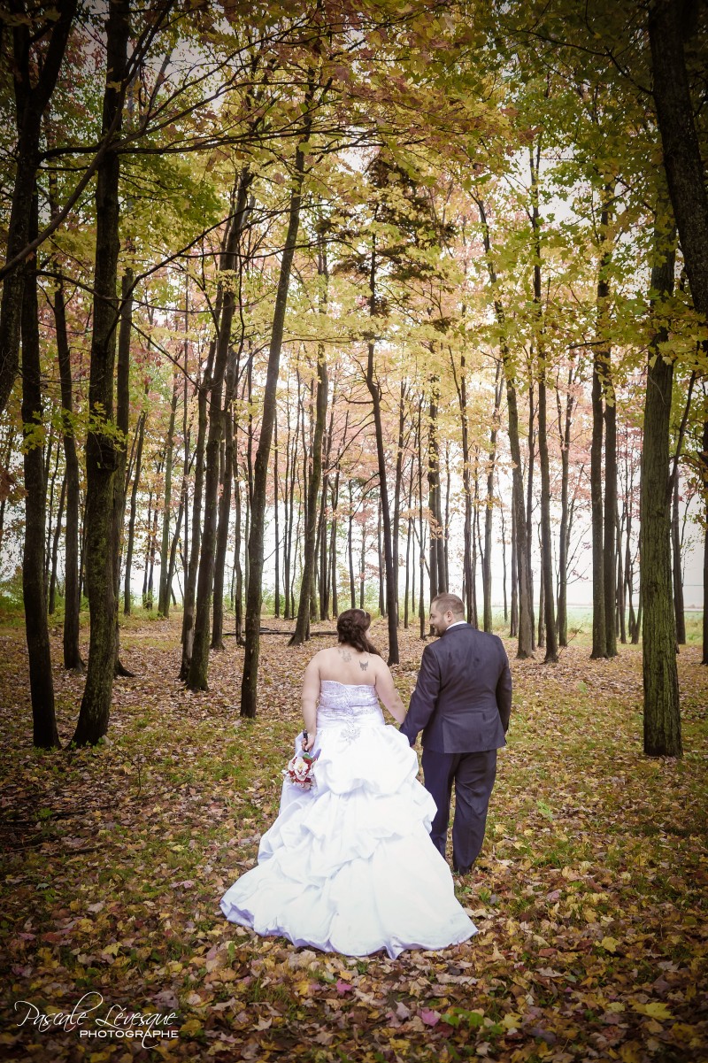 sainte-anne-des-plaines