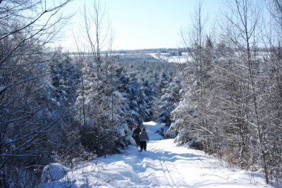 Sentier hiver