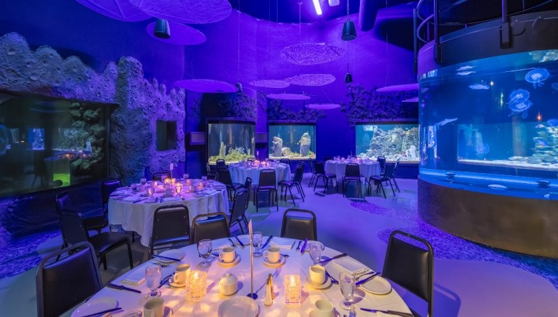 Salle Odyssée Pacifique Sud (OPS) – Zoo de Granby, Granby