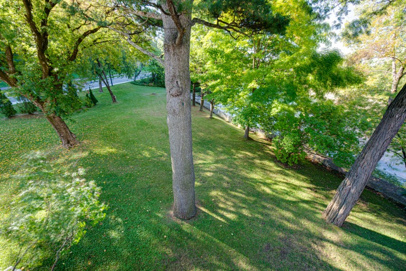 saint-ferreol-les-neiges