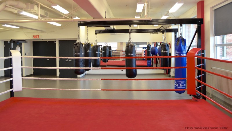 montreal-le-plateau-mont-royal