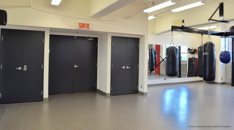 montreal-le-plateau-mont-royal