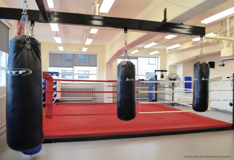 montreal-le-plateau-mont-royal